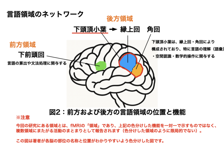 写真と動画、見て動詞を言う時の脳の活動は違う? – ことばとからだ